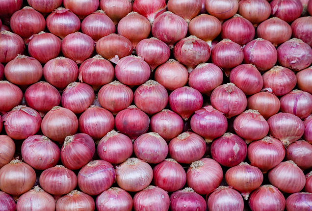 Fresh Onion